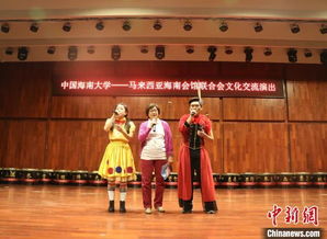 馬來西亞海南會(huì)館聯(lián)合會(huì)文藝團(tuán)來瓊開展數(shù)字文化創(chuàng)意軟件交流