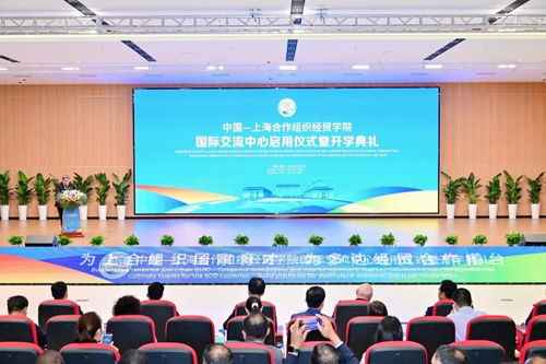 西安交大科教院赴青島調研合作，共促數字文化創意軟件開發